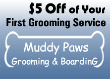 $5 Off, Dog Grooming in Poughkeepsie, NY